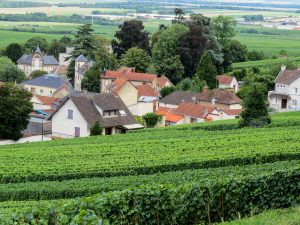 The Nogent company is on a sustainable path