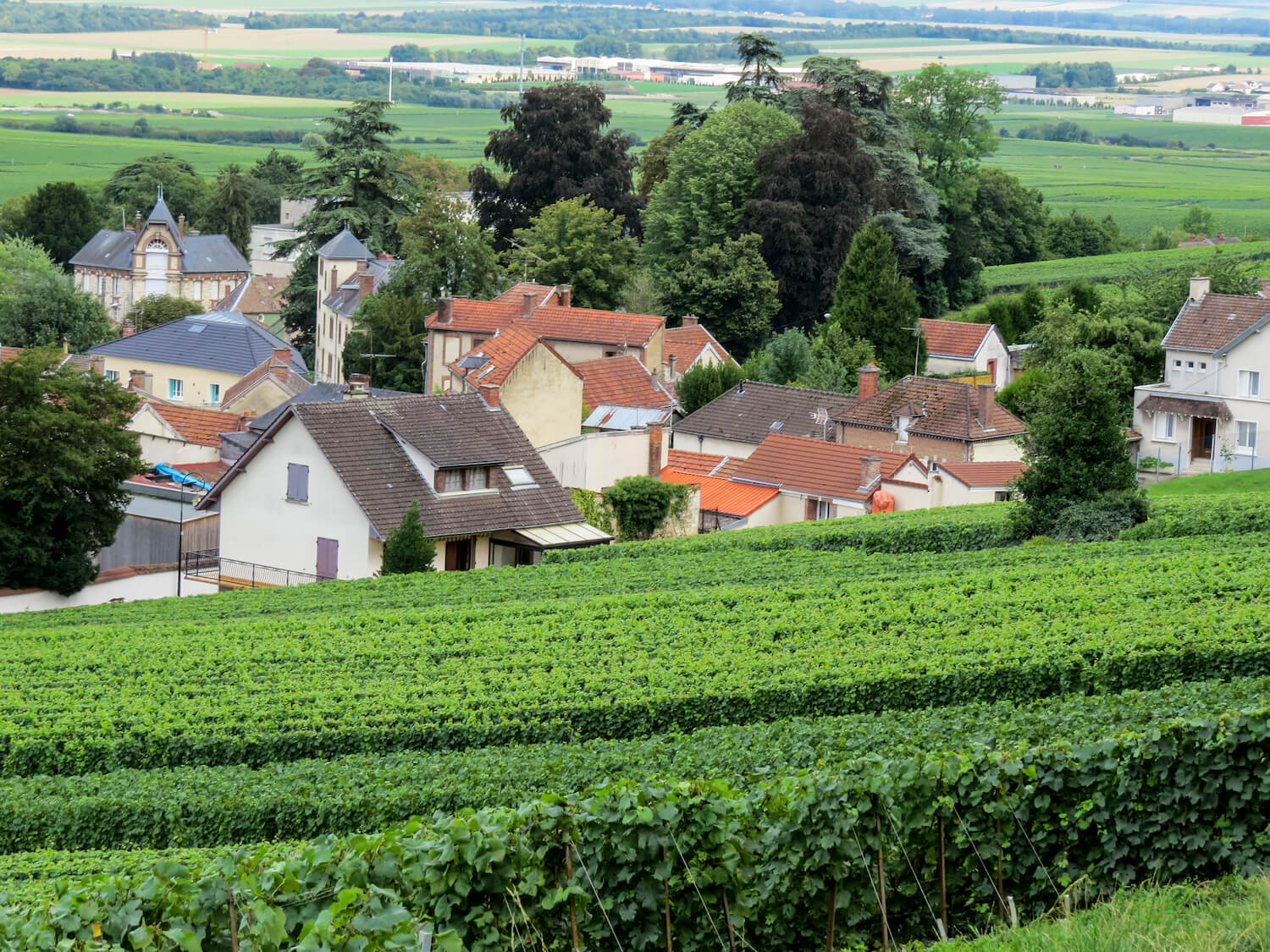 The Nogent company is on a sustainable path